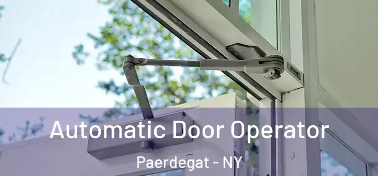 Automatic Door Operator Paerdegat - NY