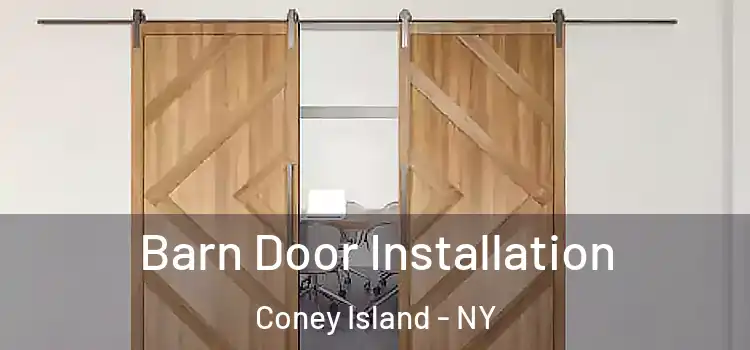 Barn Door Installation Coney Island - NY