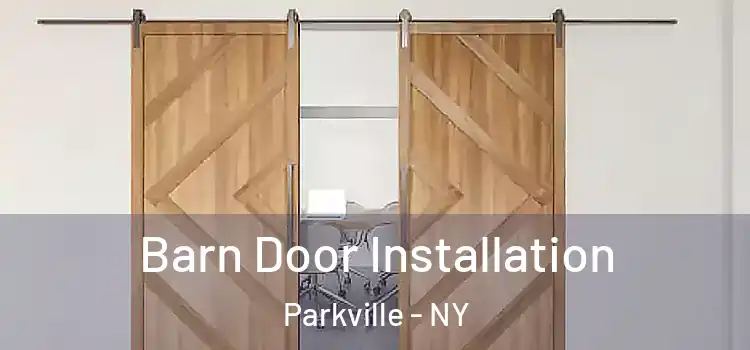  Barn Door Installation Parkville - NY