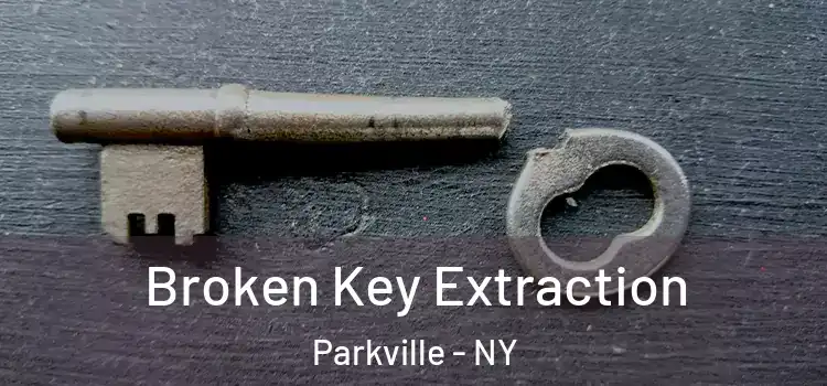  Broken Key Extraction Parkville - NY