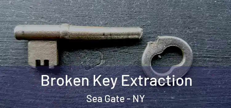  Broken Key Extraction Sea Gate - NY