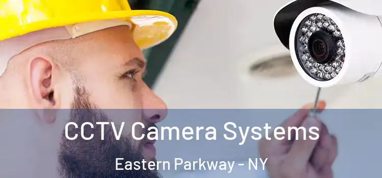 CCTV Camera Systems Eastern Parkway - NY