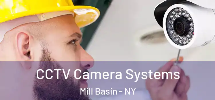 CCTV Camera Systems Mill Basin - NY