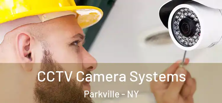 CCTV Camera Systems Parkville - NY