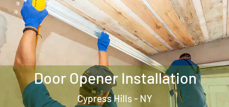  Door Opener Installation Cypress Hills - NY