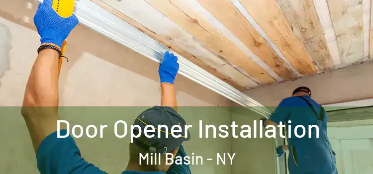  Door Opener Installation Mill Basin - NY