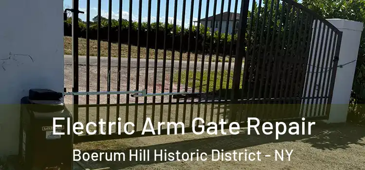 Electric Arm Gate Repair Boerum Hill Historic District - NY