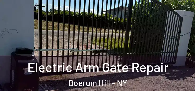 Electric Arm Gate Repair Boerum Hill - NY