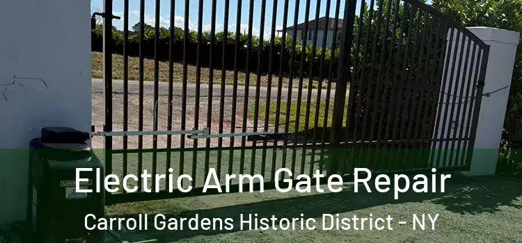 Electric Arm Gate Repair Carroll Gardens Historic District - NY