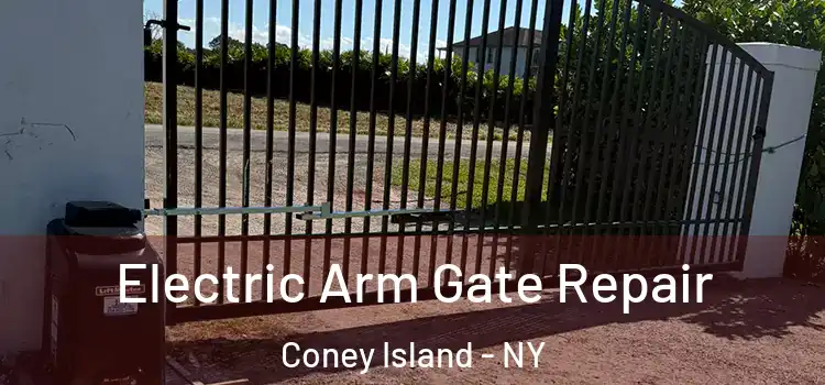 Electric Arm Gate Repair Coney Island - NY