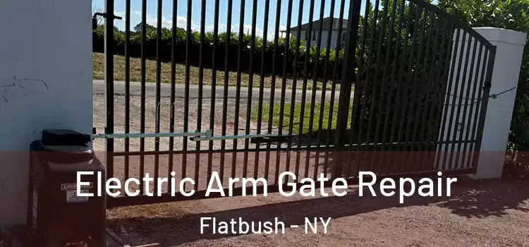 Electric Arm Gate Repair Flatbush - NY