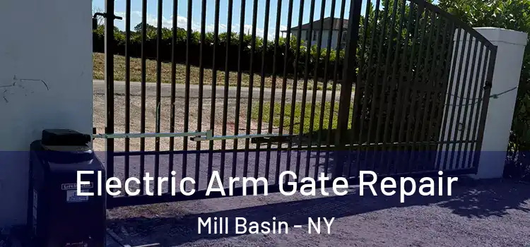 Electric Arm Gate Repair Mill Basin - NY