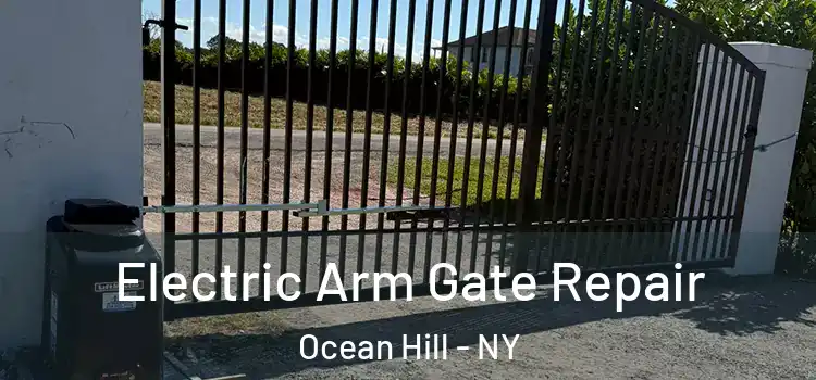 Electric Arm Gate Repair Ocean Hill - NY