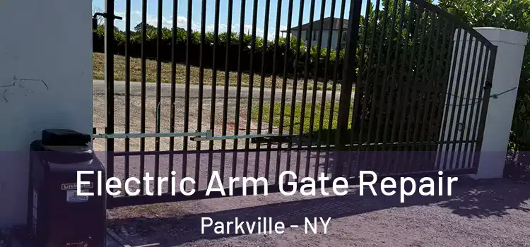 Electric Arm Gate Repair Parkville - NY