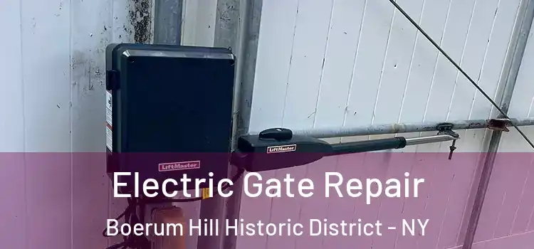 Electric Gate Repair Boerum Hill Historic District - NY