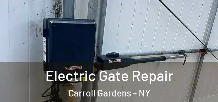  Electric Gate Repair Carroll Gardens - NY