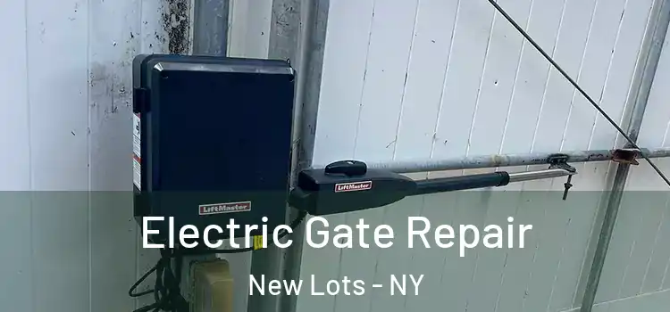 Electric Gate Repair New Lots - NY