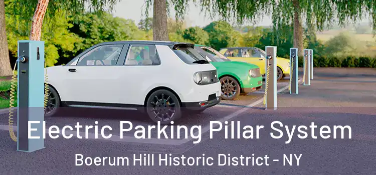 Electric Parking Pillar System Boerum Hill Historic District - NY