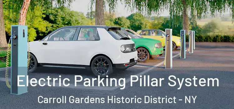 Electric Parking Pillar System Carroll Gardens Historic District - NY