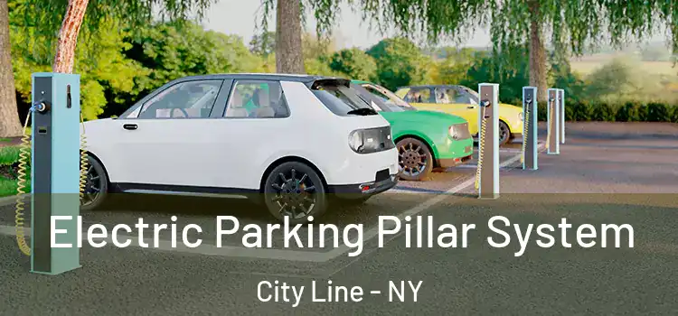 Electric Parking Pillar System City Line - NY