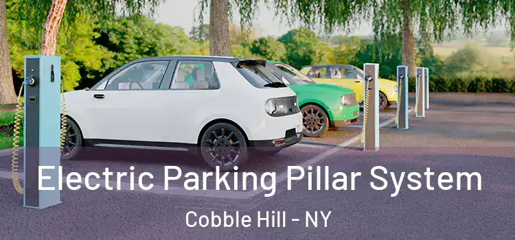 Electric Parking Pillar System Cobble Hill - NY