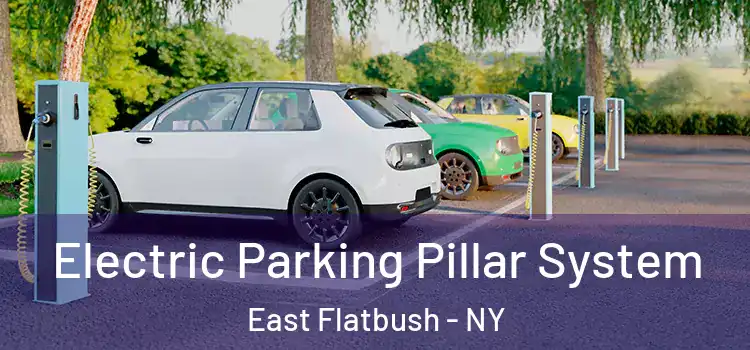 Electric Parking Pillar System East Flatbush - NY