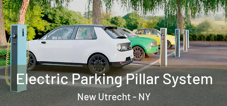 Electric Parking Pillar System New Utrecht - NY
