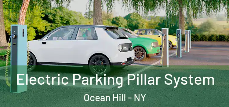 Electric Parking Pillar System Ocean Hill - NY