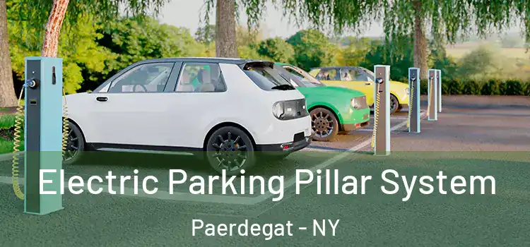 Electric Parking Pillar System Paerdegat - NY