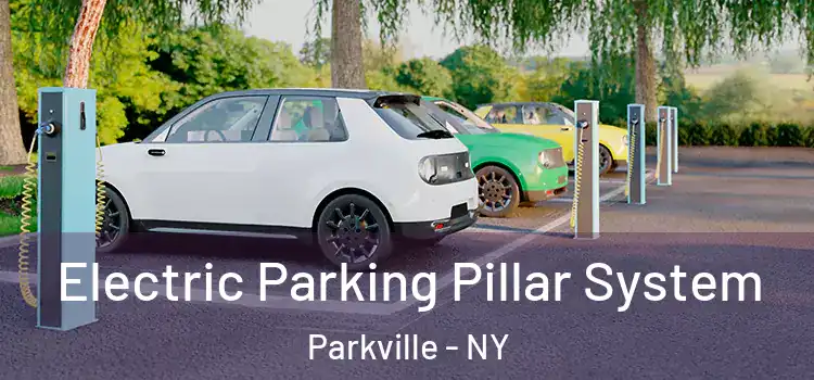  Electric Parking Pillar System Parkville - NY