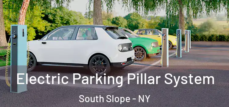  Electric Parking Pillar System South Slope - NY