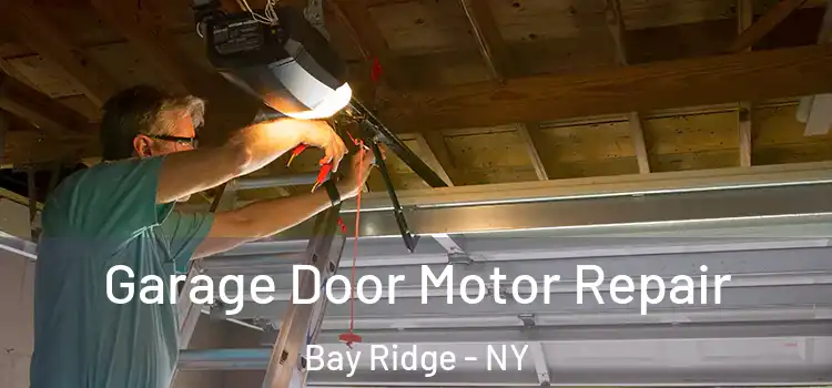  Garage Door Motor Repair Bay Ridge - NY