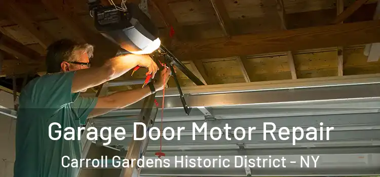  Garage Door Motor Repair Carroll Gardens Historic District - NY