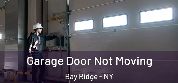  Garage Door Not Moving Bay Ridge - NY