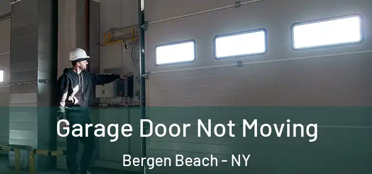  Garage Door Not Moving Bergen Beach - NY