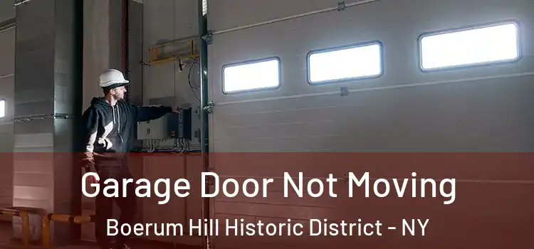  Garage Door Not Moving Boerum Hill Historic District - NY