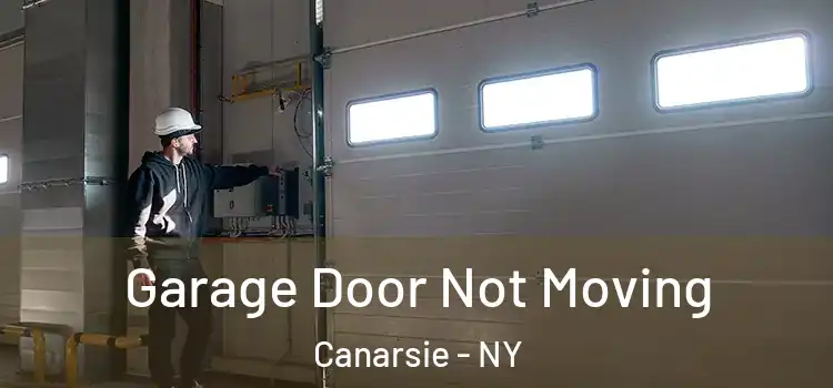 Garage Door Not Moving Canarsie - NY