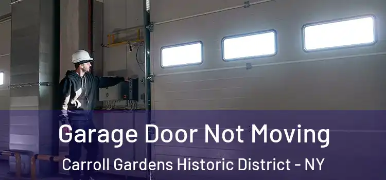  Garage Door Not Moving Carroll Gardens Historic District - NY
