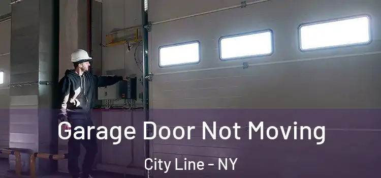  Garage Door Not Moving City Line - NY