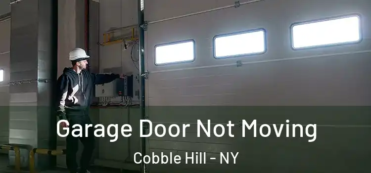  Garage Door Not Moving Cobble Hill - NY