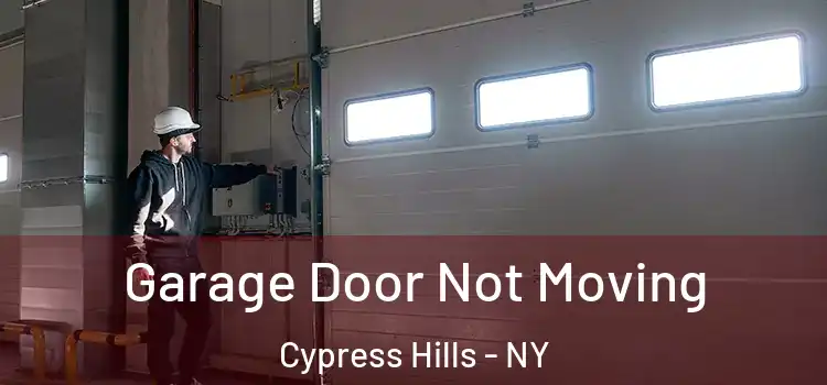 Garage Door Not Moving Cypress Hills - NY