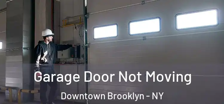  Garage Door Not Moving Downtown Brooklyn - NY