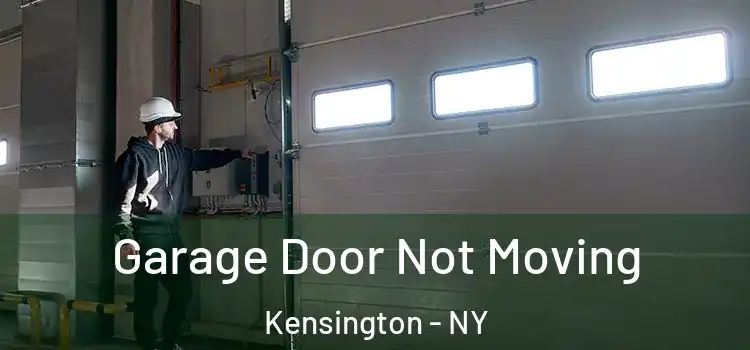  Garage Door Not Moving Kensington - NY