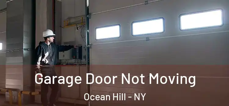  Garage Door Not Moving Ocean Hill - NY