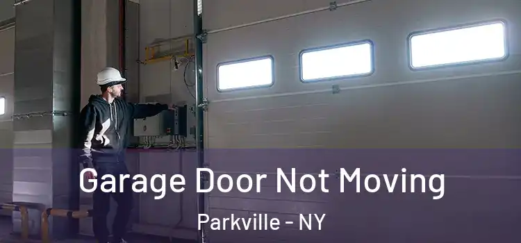  Garage Door Not Moving Parkville - NY