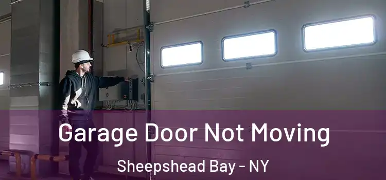  Garage Door Not Moving Sheepshead Bay - NY