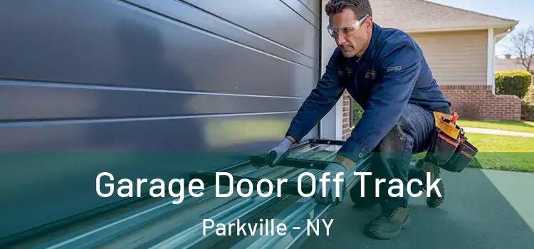  Garage Door Off Track Parkville - NY