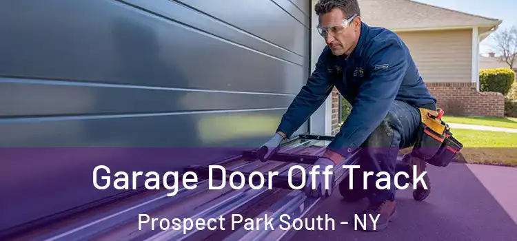  Garage Door Off Track Prospect Park South - NY