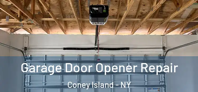  Garage Door Opener Repair Coney Island - NY