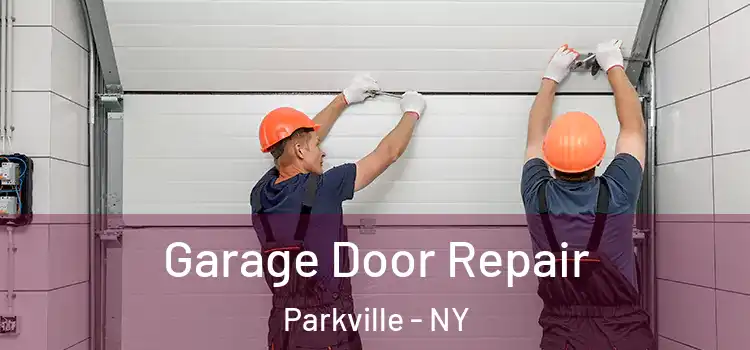  Garage Door Repair Parkville - NY